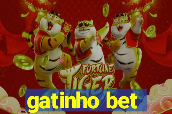 gatinho bet